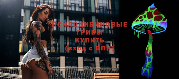 шишки Богданович