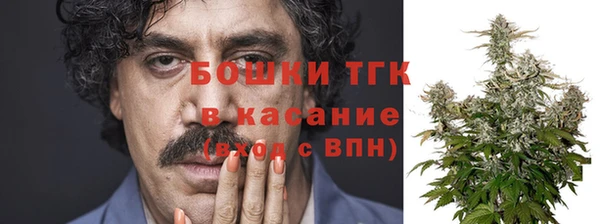 mix Богородск