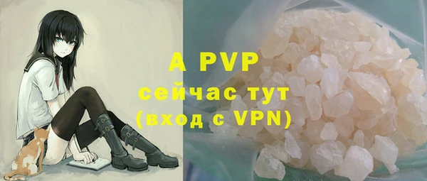 шишки Богданович