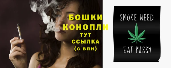 mix Богородск