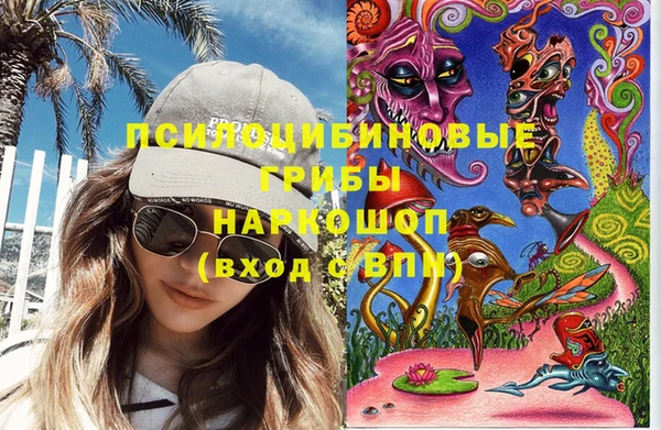 шишки Богданович