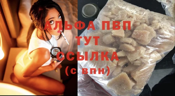шишки Богданович