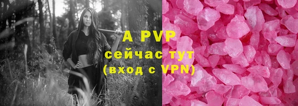 шишки Богданович